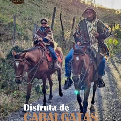 Imagen de WhatsApp 2025-08-28 a las 08.42.48_942d1beb